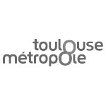 toulouse metropole immobilier
