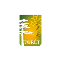 Forêt évolution durable